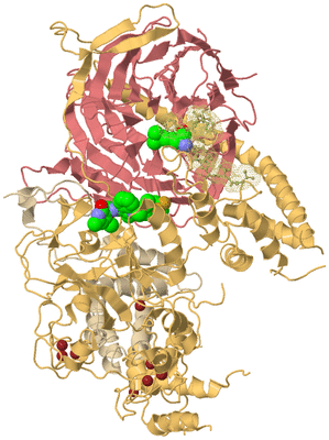 Image Biological Unit 3