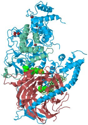 Image Biological Unit 4