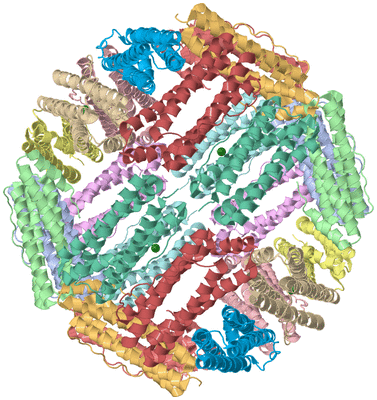 Image Biological Unit 1