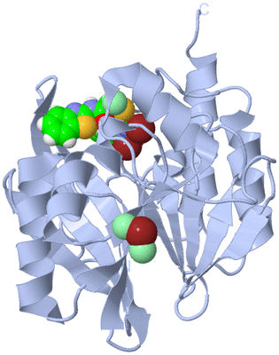 Image Biological Unit 1