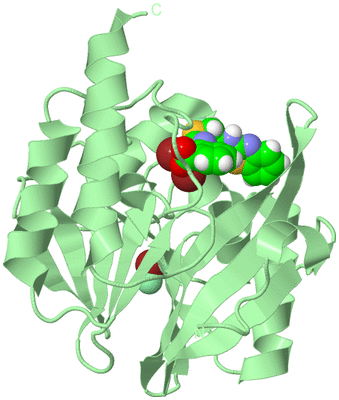 Image Biological Unit 2