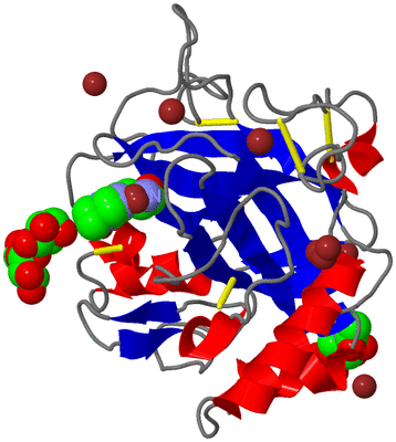 Image Asym./Biol. Unit