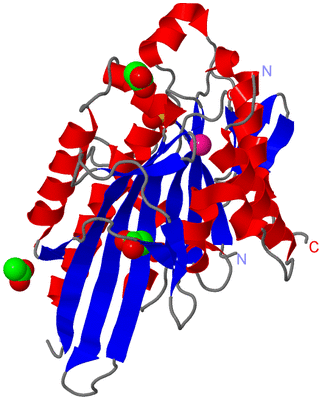 Image Asym./Biol. Unit