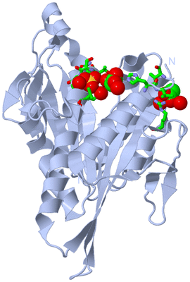 Image Biol. Unit 1 - sites