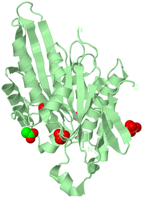 Image Biological Unit 2