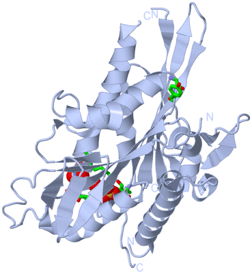 Image Biol. Unit 1 - sites