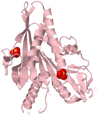 Image Biological Unit 3