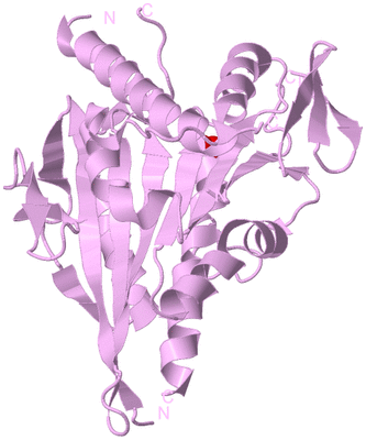 Image Biological Unit 5