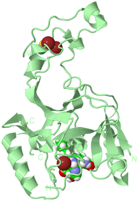 Image Biological Unit 2