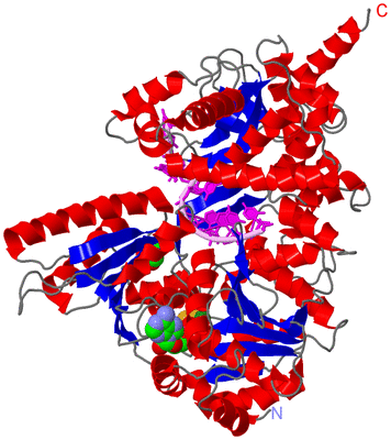 Image Asym./Biol. Unit