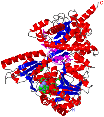 Image Asym./Biol. Unit - sites