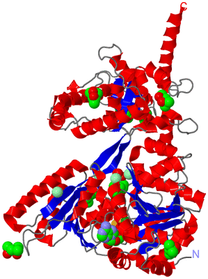 Image Asym./Biol. Unit