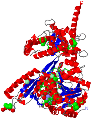 Image Asym./Biol. Unit - sites