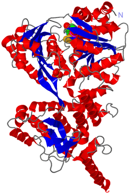 Image Asym./Biol. Unit