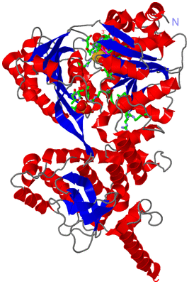 Image Asym./Biol. Unit - sites