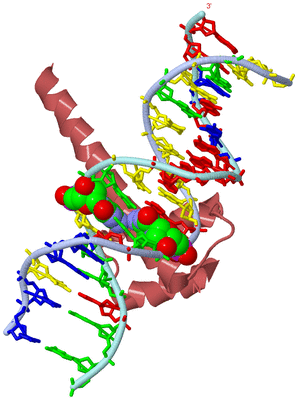 Image Biological Unit 1