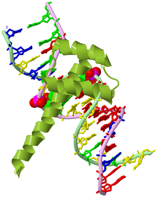 Image Biological Unit 2