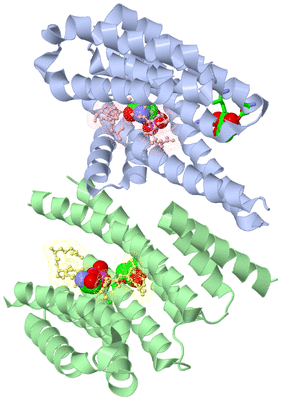 Image Biol. Unit 1 - sites