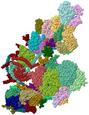 Image Asym./Biol. Unit