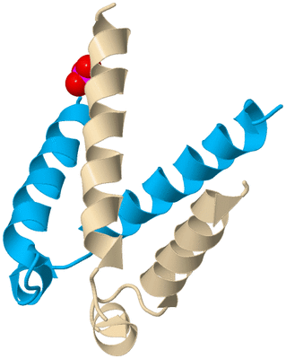 Image Biological Unit 5