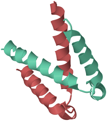 Image Biological Unit 6