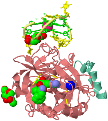 Image Asym./Biol. Unit