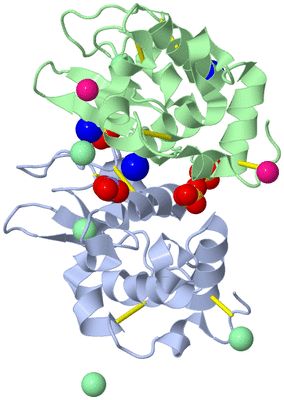 Image Asym./Biol. Unit