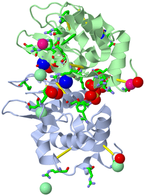 Image Asym./Biol. Unit - sites