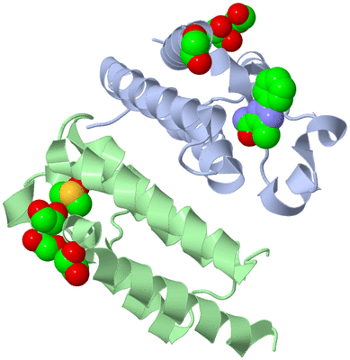 Image Asym./Biol. Unit