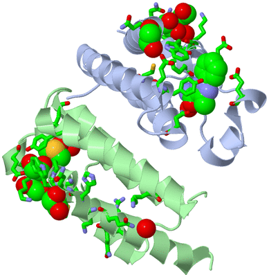 Image Asym./Biol. Unit - sites