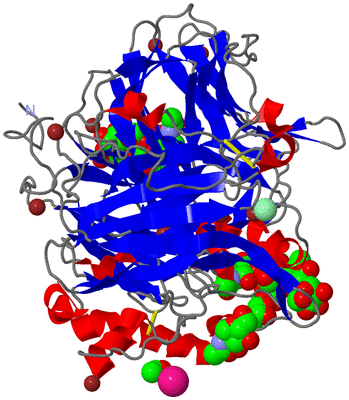 Image Asym./Biol. Unit