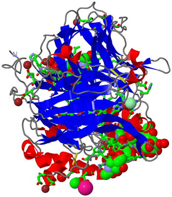 Image Asym./Biol. Unit - sites