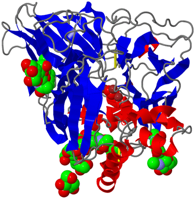 Image Asym./Biol. Unit