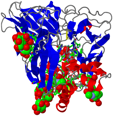 Image Asym./Biol. Unit - sites