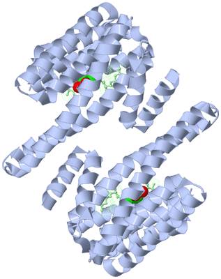 Image Biological Unit 1