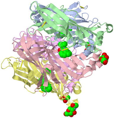 Image Biological Unit 1