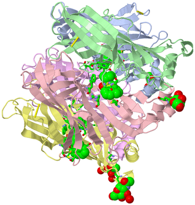 Image Biol. Unit 1 - sites