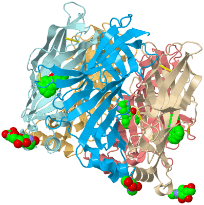 Image Biological Unit 2