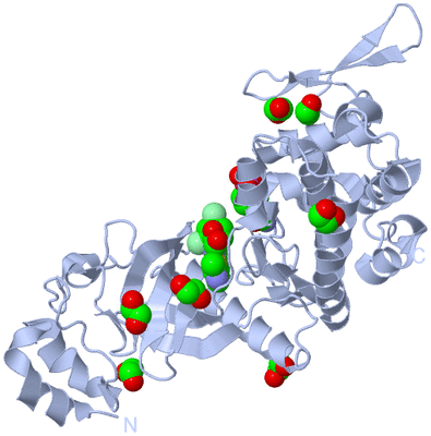 Image Biological Unit 1