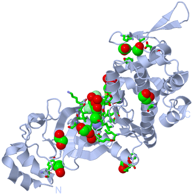 Image Biol. Unit 1 - sites