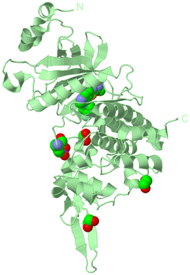 Image Biological Unit 2