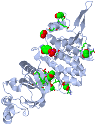 Image Biol. Unit 1 - sites