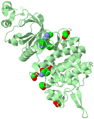 Image Biological Unit 2