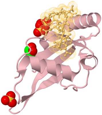 Image Biological Unit 3