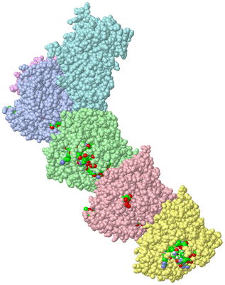 Image Asym./Biol. Unit - sites