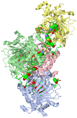 Image Asym./Biol. Unit - sites