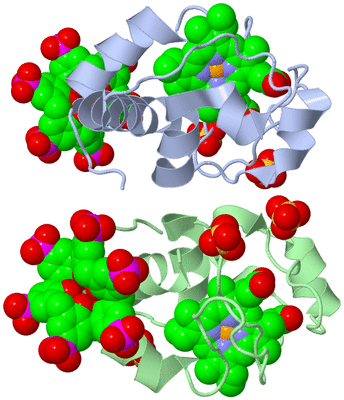 Image Asym./Biol. Unit