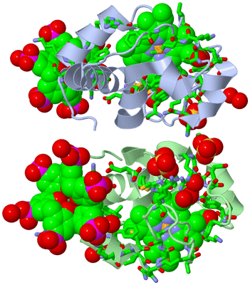 Image Asym./Biol. Unit - sites