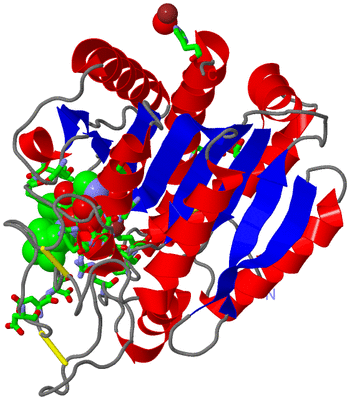 Image Asym./Biol. Unit - sites