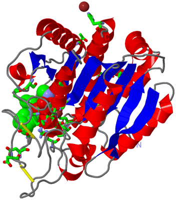 Image Asym./Biol. Unit - sites